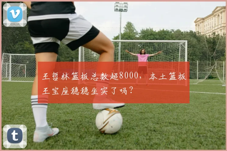 王哲林篮板总数超8000,本土篮板王宝座稳稳坐实了吗?